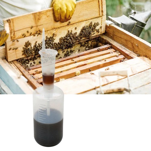 Oxalic acid dosage - oxalic, syringe