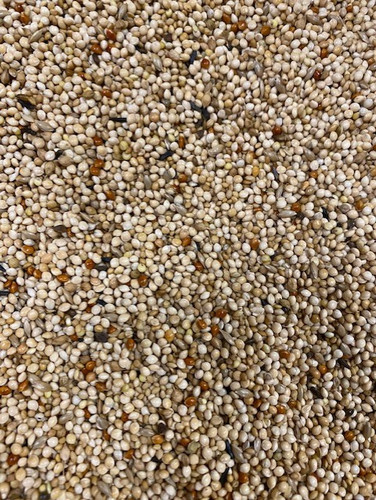 Foreign finch food mixed - foreign,