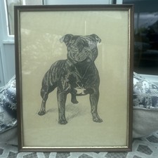Staffordshire bull terrier - staffordshire,