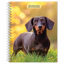 Dachshunds A5 Diary 2026 - Dogs - Week To View