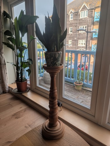 Solid pine plant stand - plant,