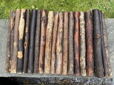 Animal Natural Bridge Pet Bed Flexible Wooden-Guinea Pig or Rabbit - X2