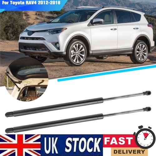 Rear tailgate lift supports - tailgate,