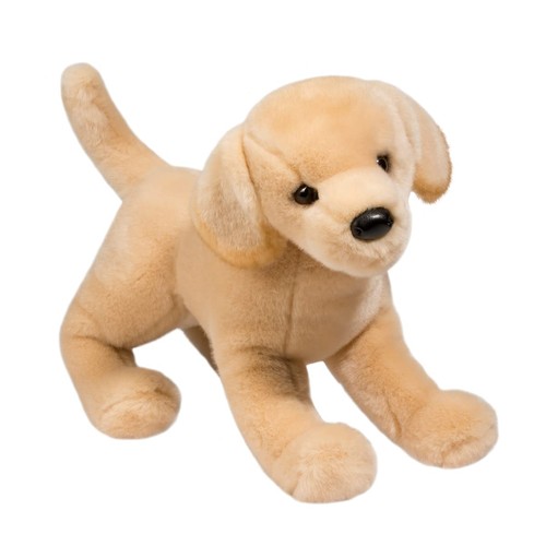 Douglas mandy yellow - douglas, dog