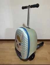 Scooter Luggage