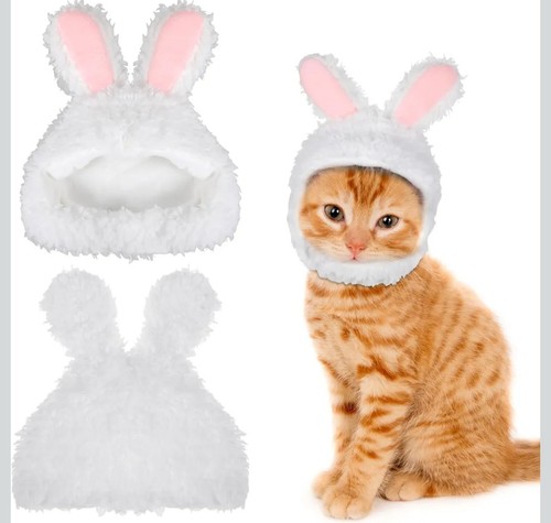 Wllhyf cute cat winter warm - wllhyf,