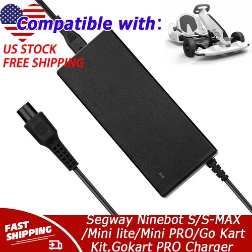 Charger for segway - charger,