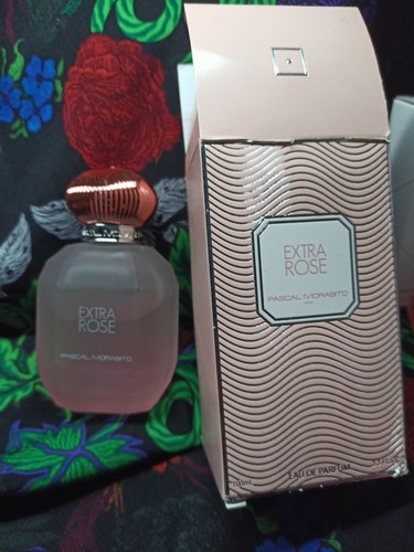Pascal morabito extra rose - extra,