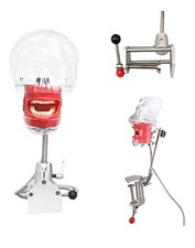 Training Practice Dental Manual Manikin Simulator Phantom Head Equipment