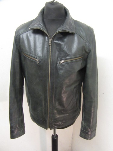 Vintage oakwood buffalo - oakwood,