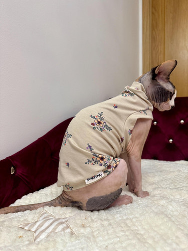 Sphynx cat jumper organic