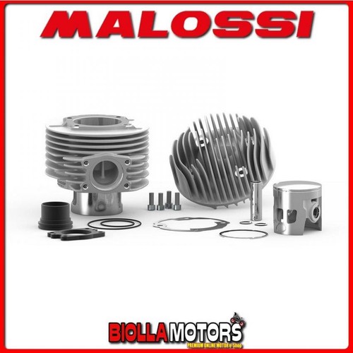 3117361 thermal group malossi - 3117361,