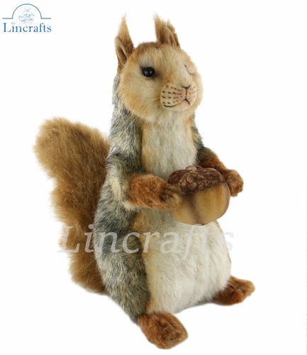 Hansa sitting grey squirrel - sitting,