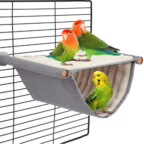 Warm bird nest - bird, bed