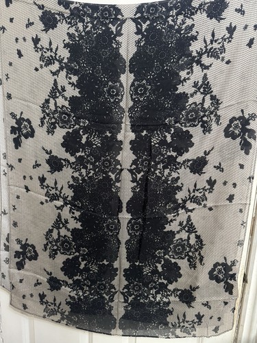 Beige chantilly lace vela - lace,