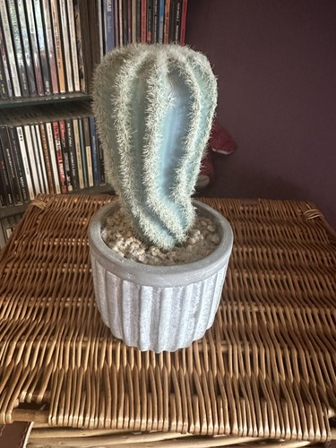 Abigail ahern faux cactus - faux, in
