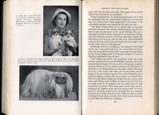 The book of Toy Dogs C.G.E