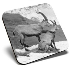 Square Single Coaster bw -