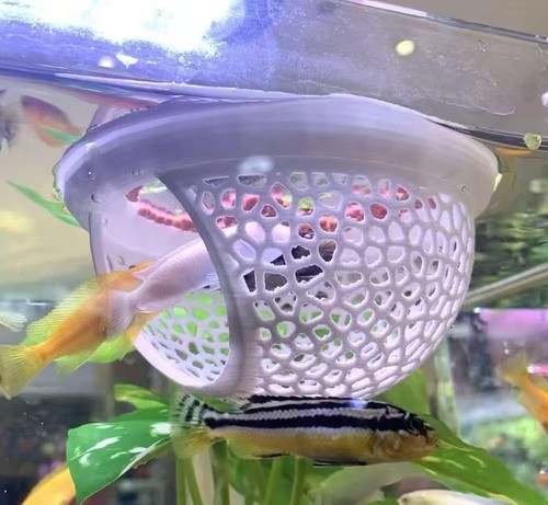 Betta fish hammock floating - fish,