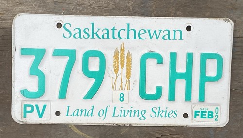 2002 saskatchewan license - 2002,