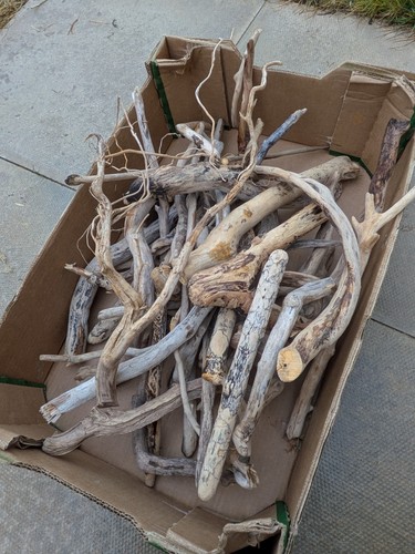 Collection driftwood - collection, of