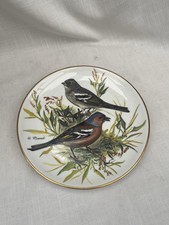 Chaffinch WWF Songbirds of