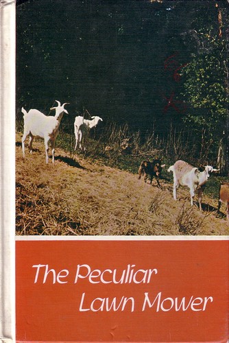 Peculiar lawn mower - lawn,