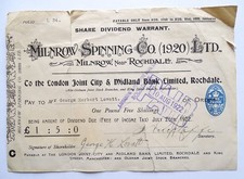 Share Dividend Warrant for