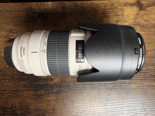 Canon ultrasonic zoom - canon, ef