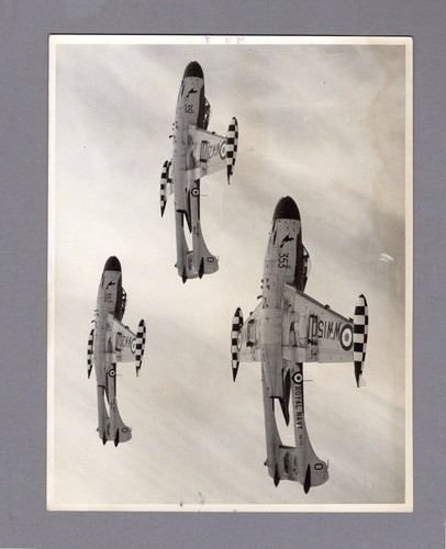 Havilland sea venom - dh,