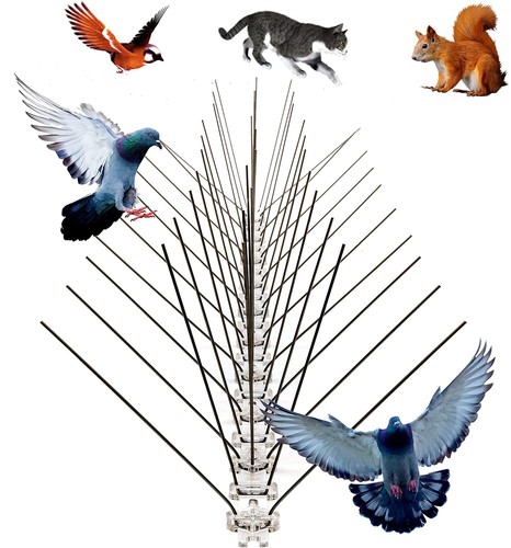Steel bird spikes fences - bird,