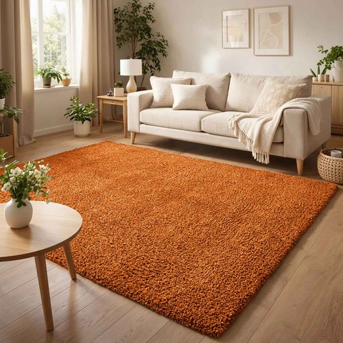 Extra large thick - shaggy, rug