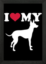 English Toy Terrier Framed