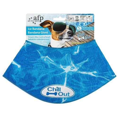 All for paws - chill, out