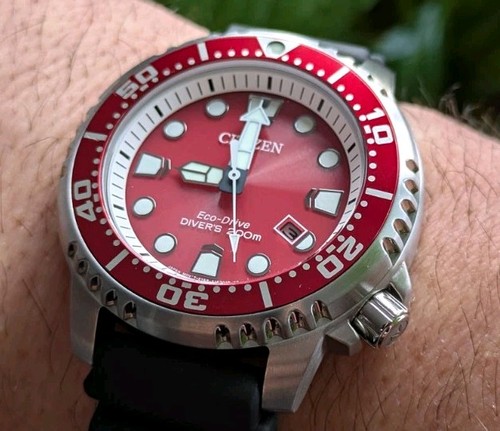 Citizen promaster - citizen, (immaculate)