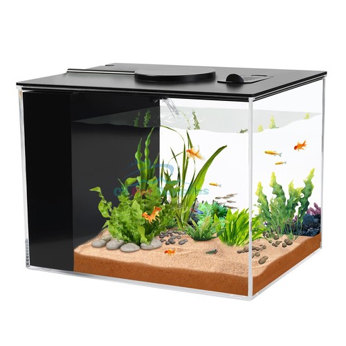Betta fish tank gallon - tank, 1