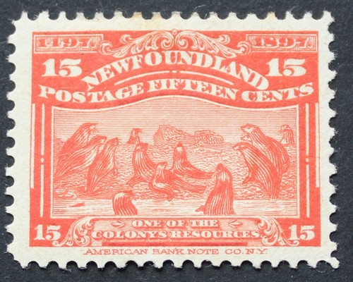 Newfoundland 1897 fifteen - newfoundland,
