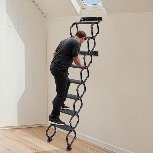 Attic loft pull down - attic, ladder