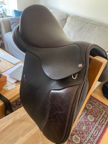 Cavaletti saddle - cavaletti, 15”