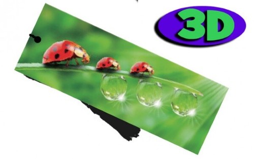 Ladybird moving hologram - moving,