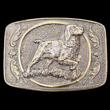 Brittany Spaniel Bird Dog