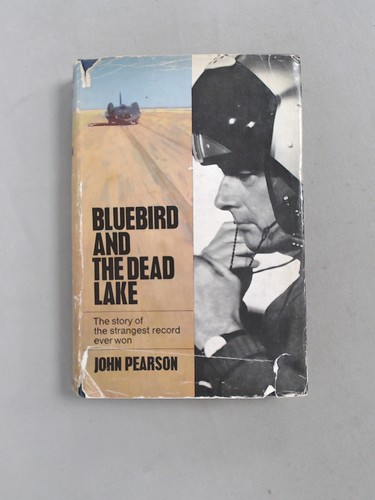 Bluebird and the dead - , lake