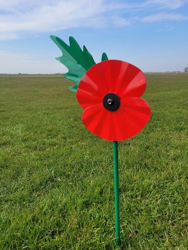 Remembrance day red poppy - day,