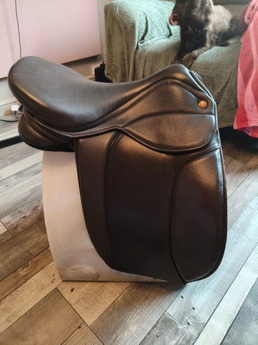 saddle
