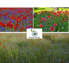 Blue Cornflower and Red Poppy Seeds Mix | Wildflower | Meadow | Pollenators