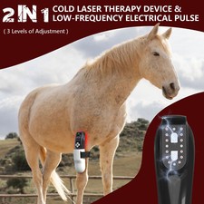 Equine Canine Infrared light
