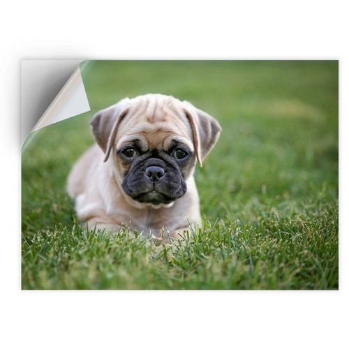 Vinyl sticker - 1,