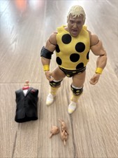 WWE Dusty Rhodes Wrestling