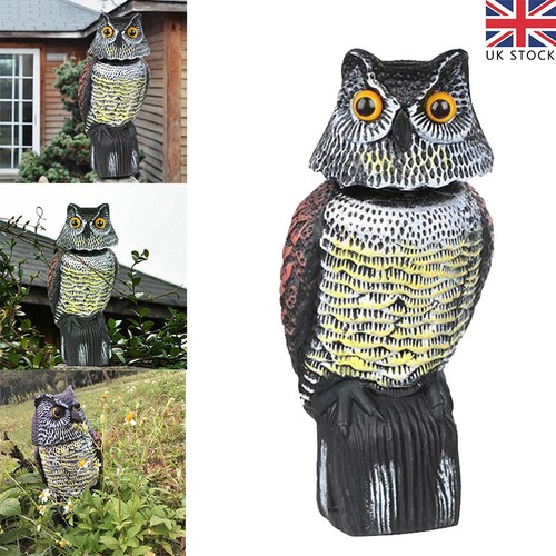 Large realistic owl - realistic,