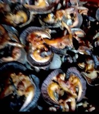 Oven Dried Snail( snal, Medium and Large) 100g@£16.00 Free postage